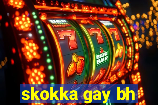 skokka gay bh